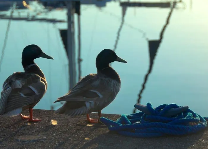 Lägenhet Ancora Marina Haus 2 Nr 05, Typ 1 *